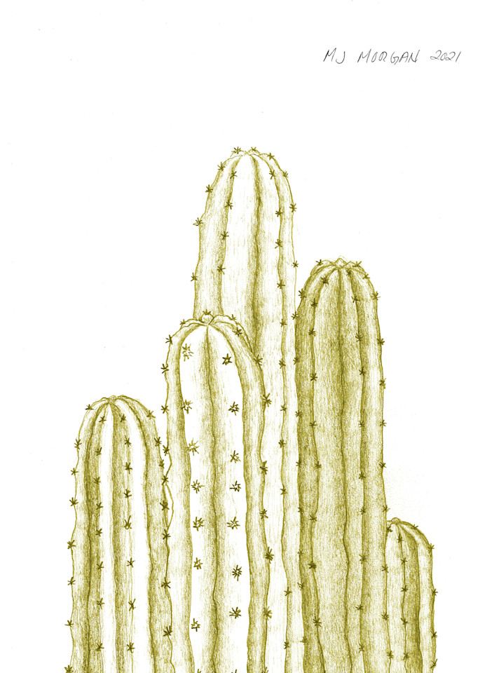 San Pedro Cactus Yellow Art | Morgan Trading Company