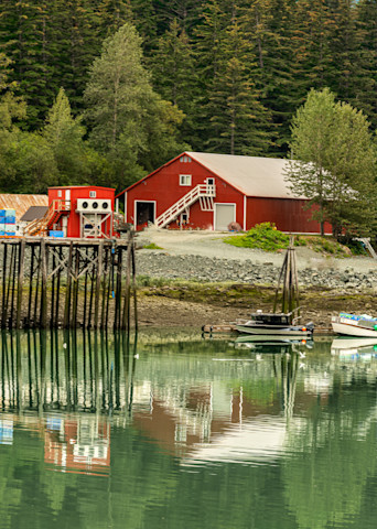 Morning At The Fish Cannery Art | Alaska Wild Bear Photography