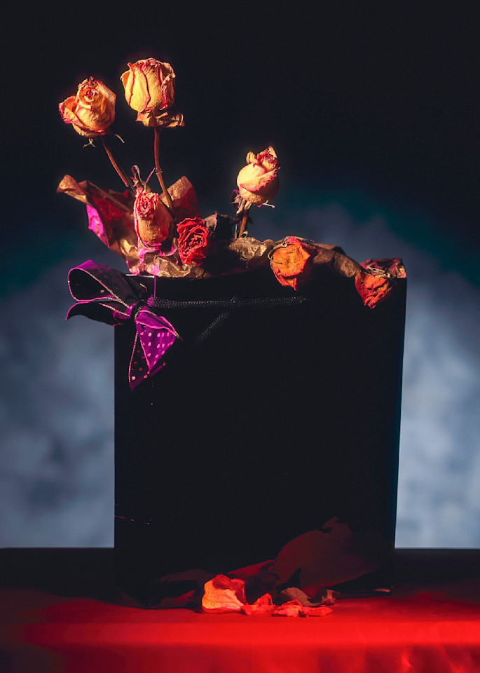 Roses In Black Bag  Photography Art | Sammy Davis Fine Art Photography