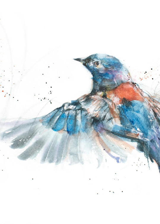 Bluebird watercolor art