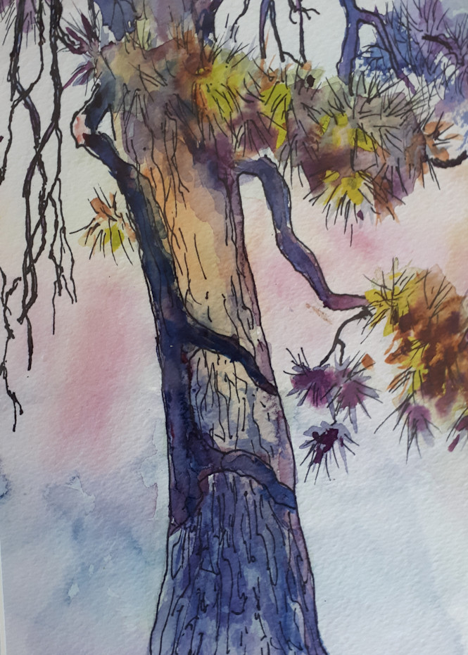 Pine At Leir House Art | lynnemarand