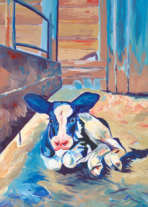 Original acrylic painting of Fantine the calf by Jill Evans