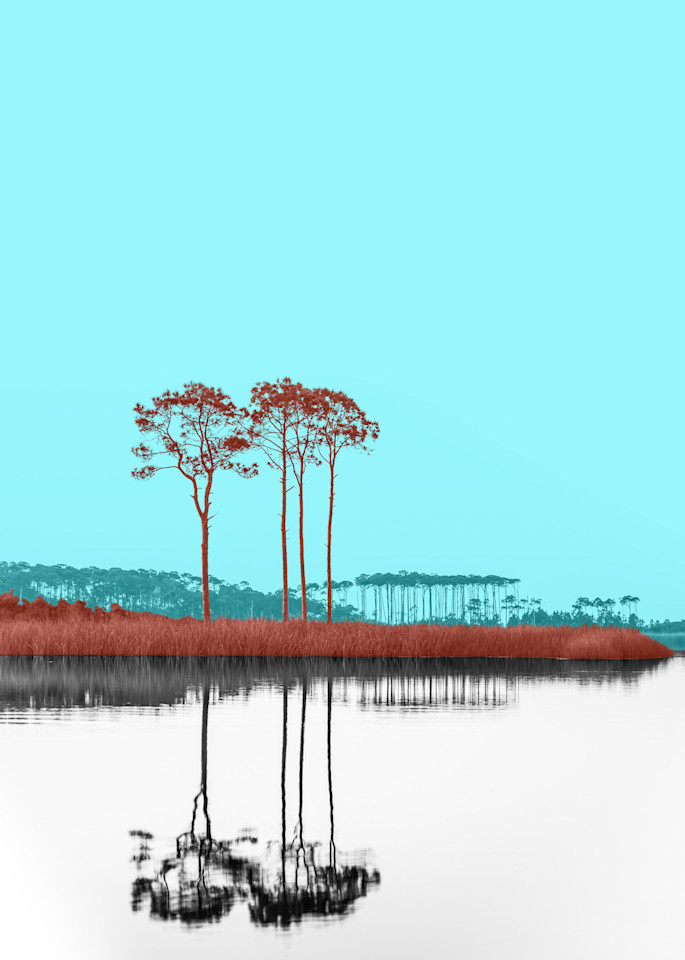 Warhol Lake Red Reeds Art | Modus Photography