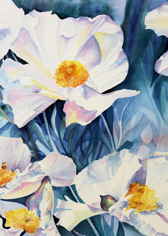 White Poppies Art | Susan Hanson Art