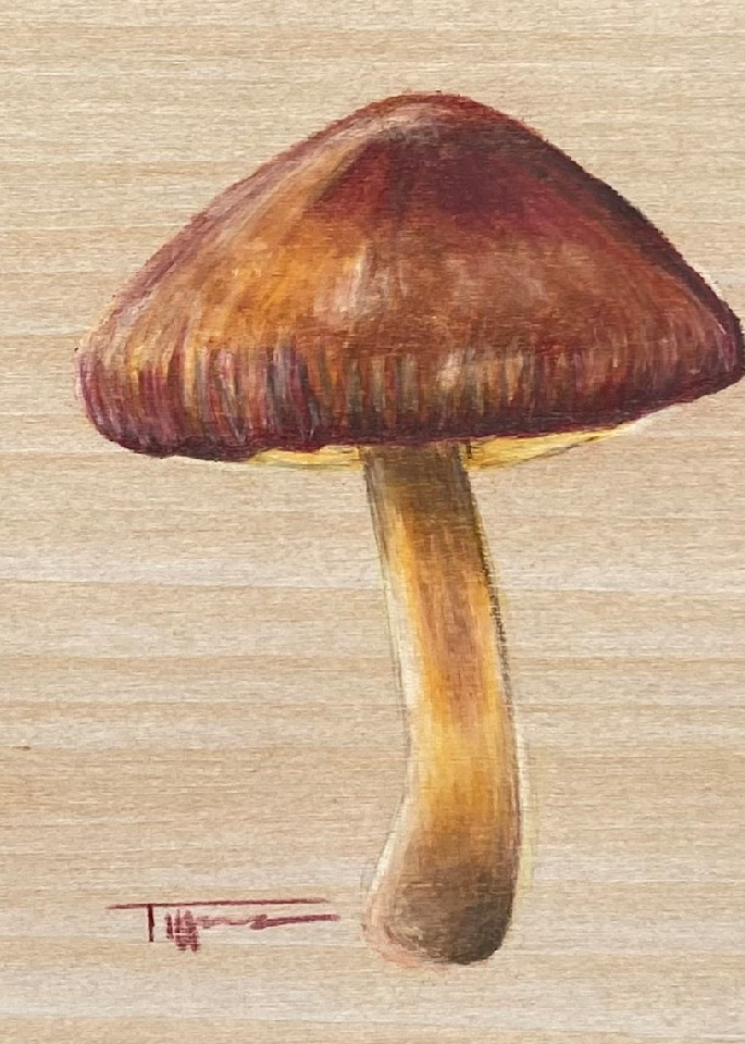 Molly Mushroom Art | The Art and Paw
