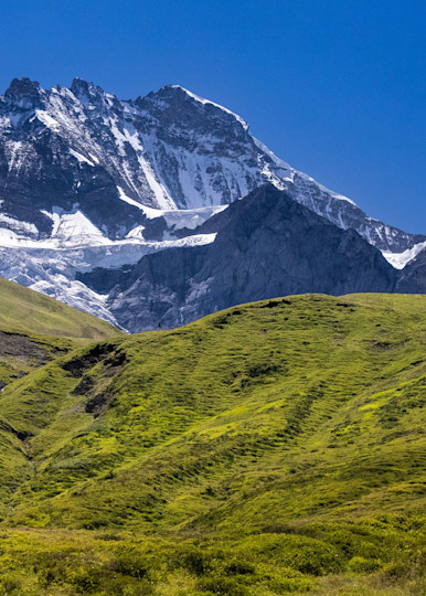 Jungfrau And Pasture Art | Leiken Photography