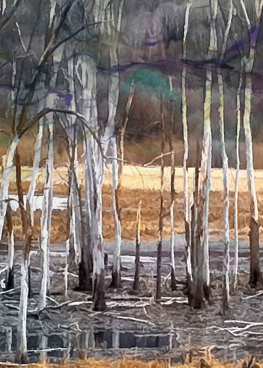 Wafting Swamp Art | Light Pixie Studio