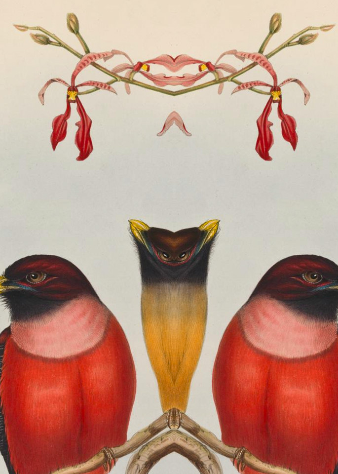 Bilateral Bird 15 2021 Art | Douglas D, Prince