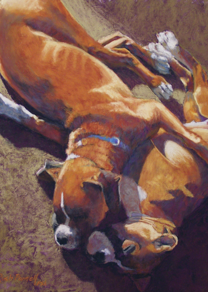 Painting of Boxer Dogs | Pet Portrait | Dog Prints | Parnell Studios