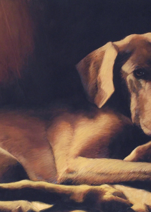 Weimaraner Painting | Pet Portraits | Dog Prints | Parnell Studios