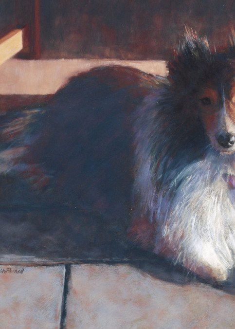 Sheltie Painting | Pet Portrait | Dog Art Print | Parnell Studios