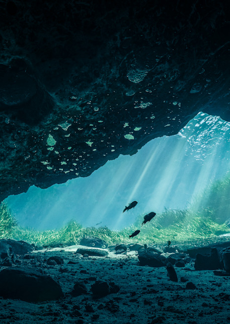 Jackson Blue Cavern Photography Art | Be Water Imaging