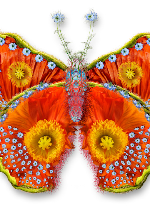Tcherevkoff   Tcherevkoff Butterfly 04 Art | micheltcherevkoff