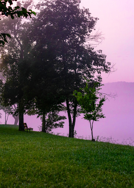 Pink Morning Photography Art | Tyanna Renee' Gallery