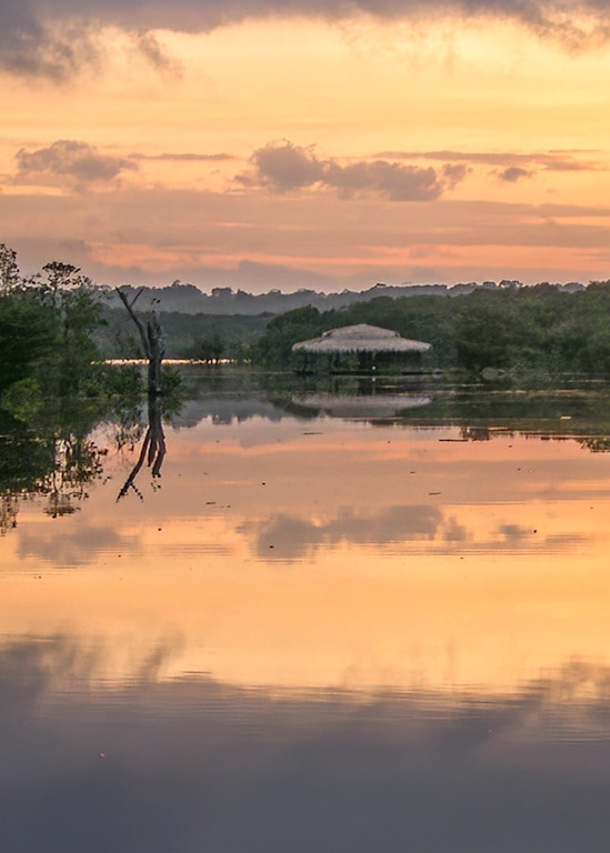 Brazil - Dawn in the Amazon