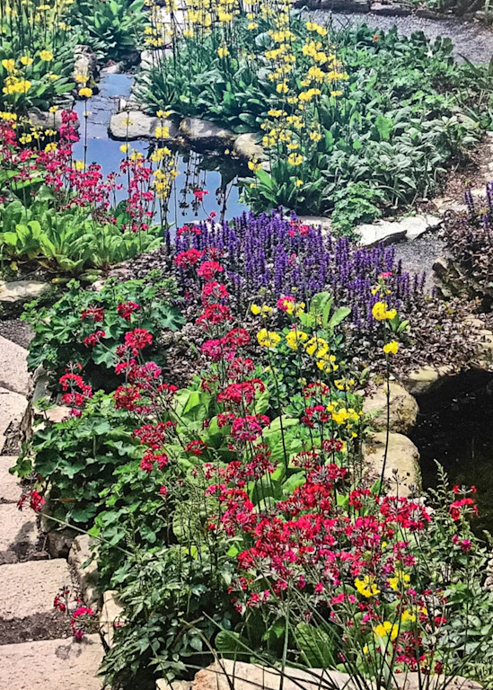 England - Garden Rainbow of Colors