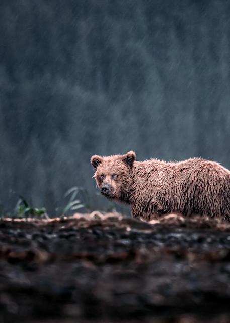 In The Rain Photography Art | Kim Clune Photography