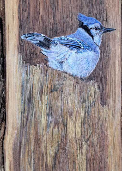 Blue Jay #2 Art | Lori Vogel Studio