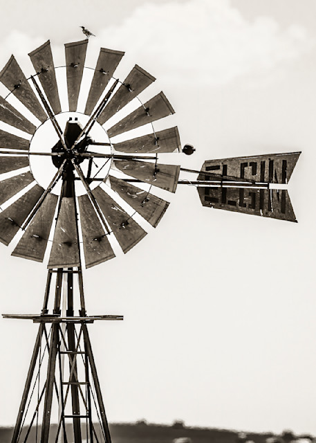 Bird on a Windmill — North Dakota fine-art photography prints