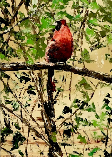 Cardinal Bird Art | Alexandre E.