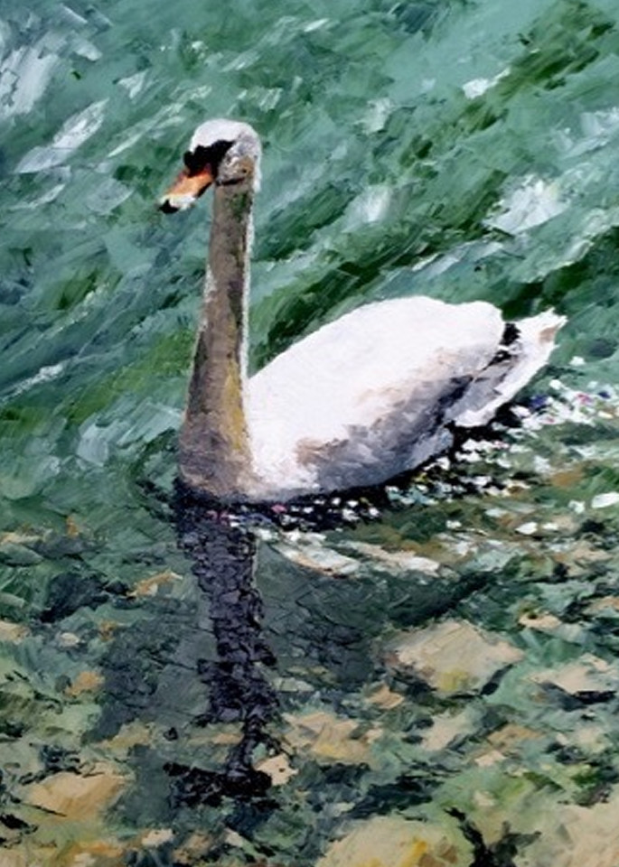 Jack The Swan Art | Alexandre E.