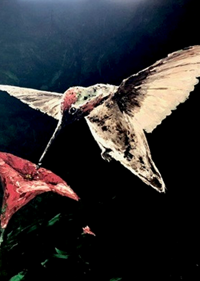 Thirst Hummingbird Art | Alexandre E.
