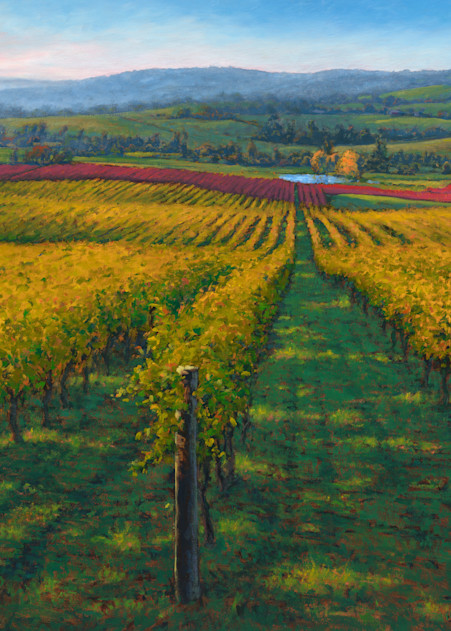 Wine Country Art | Michael Orwick Arts LLC