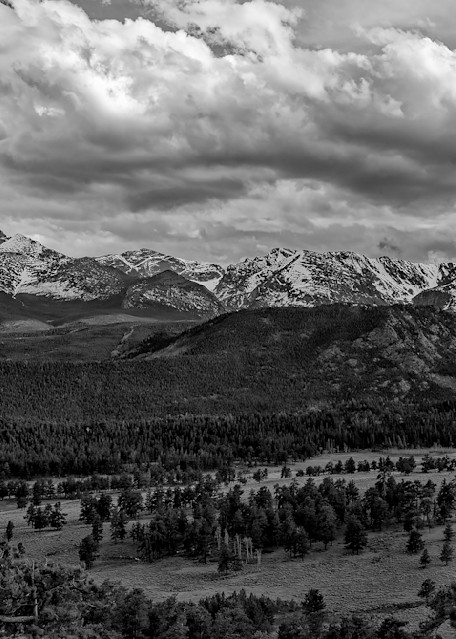 Moody Spring Day In Upper Beaver Meadows Photography Art | Nicholas Jensen Photography