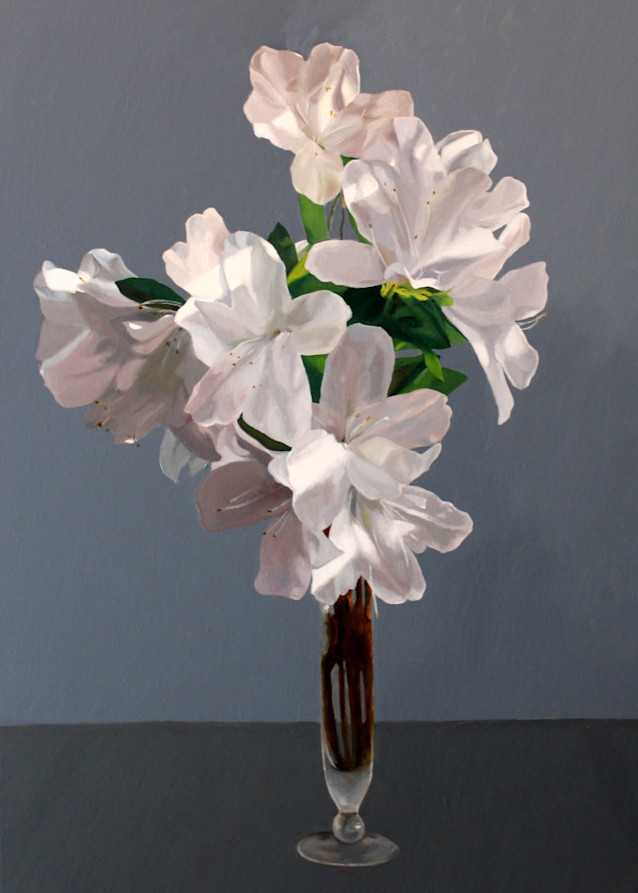 White Azaleas Art | Helen Vaughn Fine Art