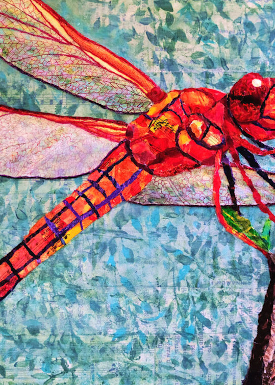 The Red Dragonfly Art | Poppyfish Studio