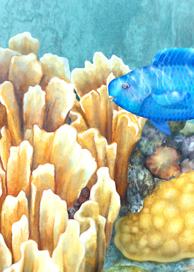 Colorful Tropical coral reef with Parrotfish