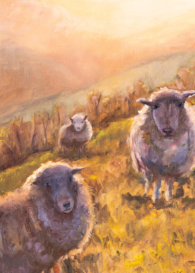 Morning Glories Art | Paintings by Kathy Webb/Whimsy Fit