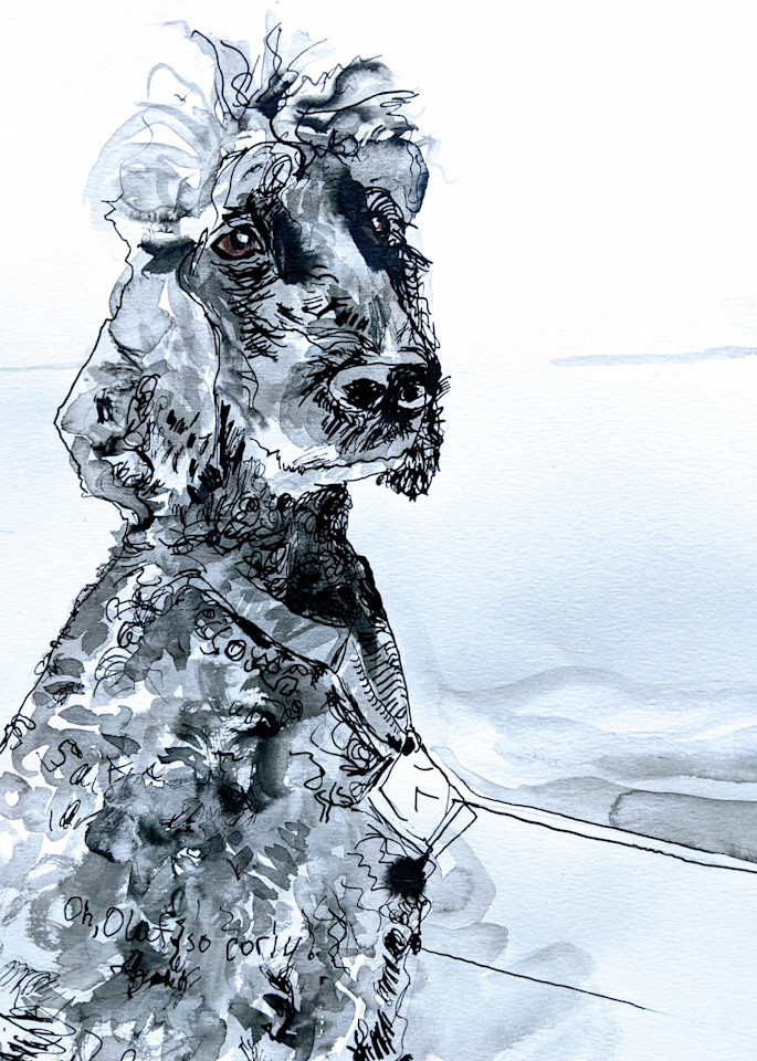 Poodle On A Boat Ink Art | Abigail Engstrand Art