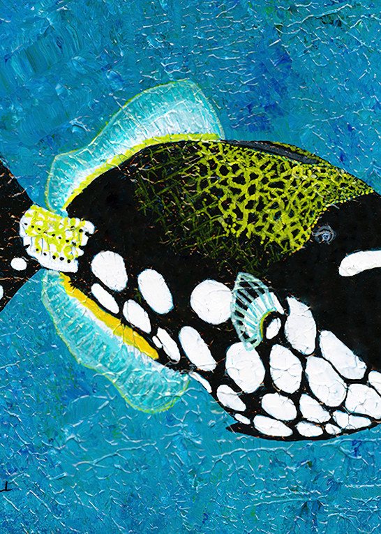 Clown Tiggerfish Art | Lahaina Arts Society