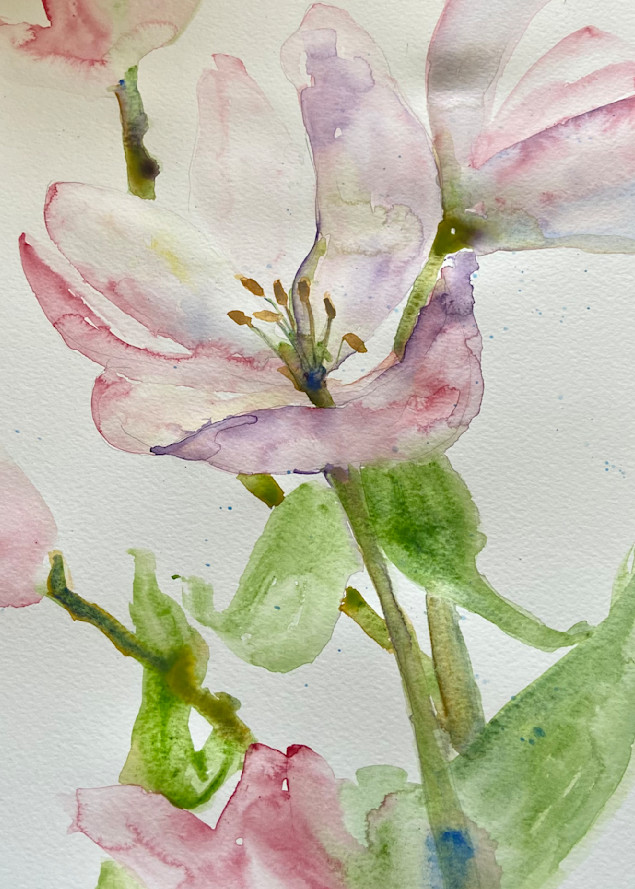 Delicate Magnolias Art | Sherry Harradence Artist