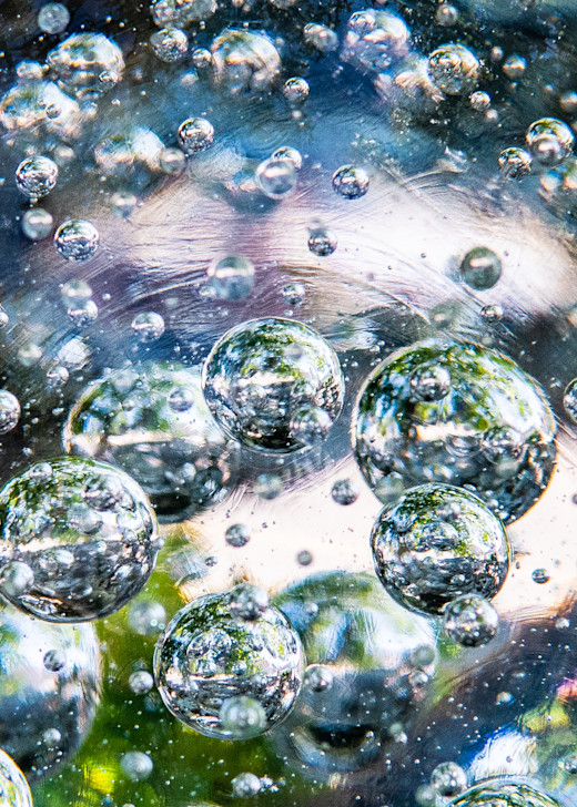 Bubbles Photography Art | Webster Gallery