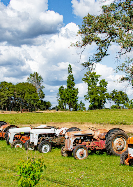 Tractor Sale  Photography Art | Webster Gallery