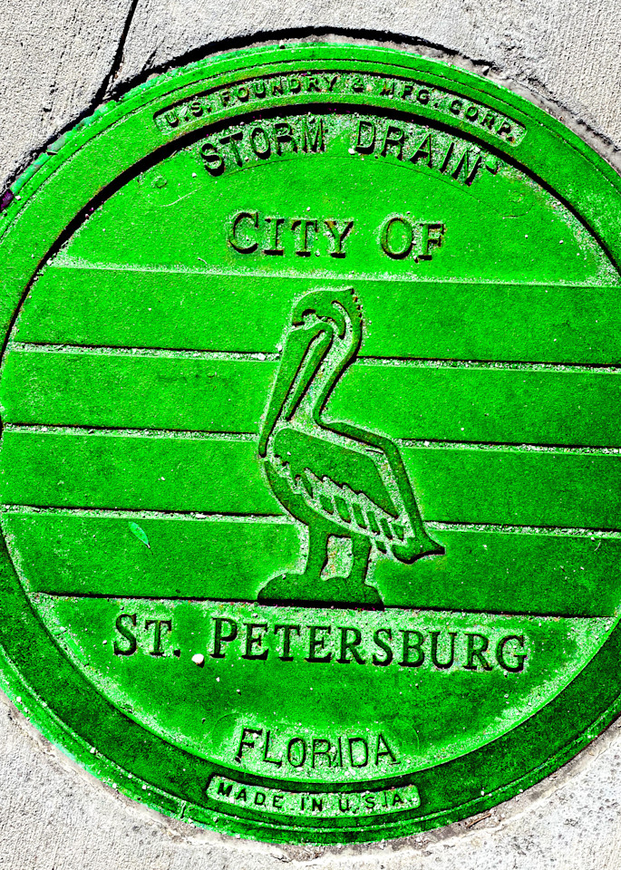 St Pete Beach Green Pelican Art | LoPresti Art Gallery