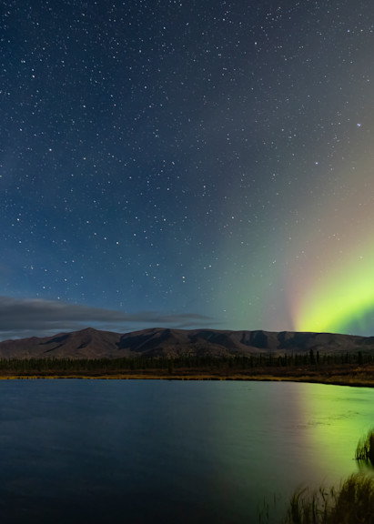 Aurora Borealis over Eureka in Alaska.