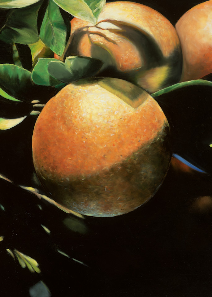 Tanglewood Oranges Art | Dawn Taft