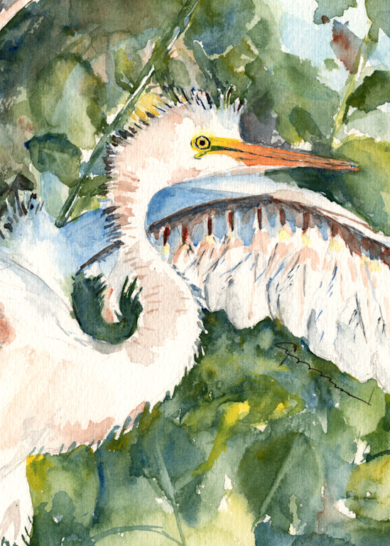 Great Egret Watercolor Painting | Claudia Hafner Watercolor