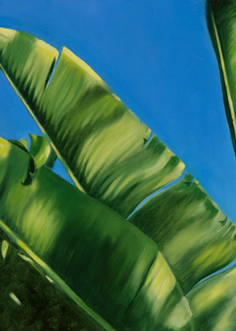 Bird Of Paradise Palms On Blue Art | Dawn Taft