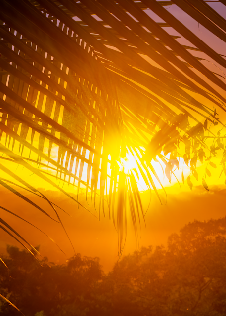 Tropical Sunset Photography Art | Kelly Nine Photography
