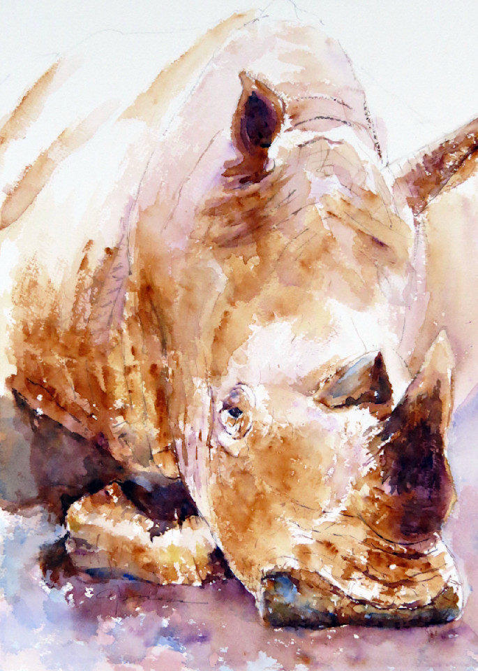 Rhino 2 Watercolor Print | Claudia Hafner Watercolor