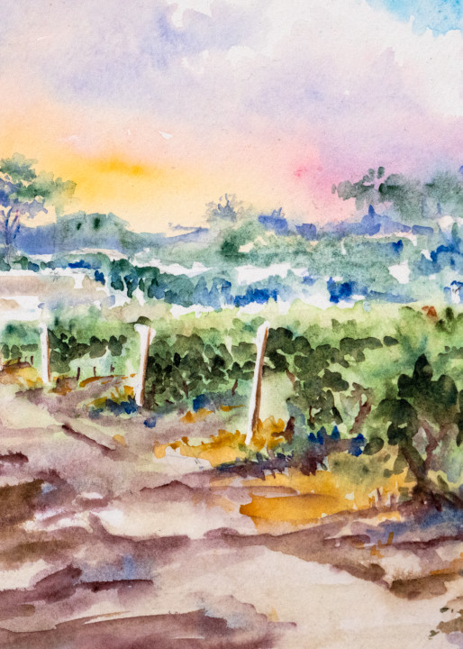 Settembre Tra I Vigneti Art | Kimberly Cammerata - Watercolors of the Sun: Paintings of Italy