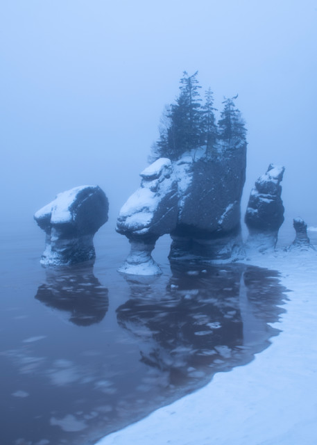 Hopewell Rocks and Frozen Shores #2