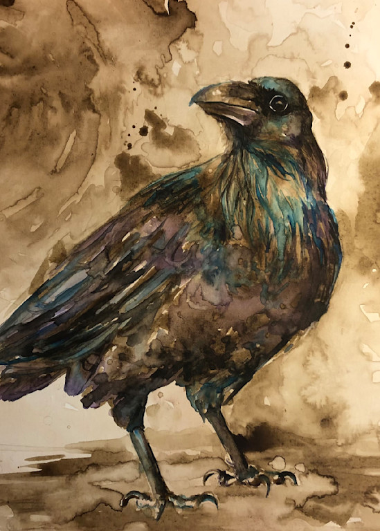 Walnut Crow Fine Art Ink Painting by Christy