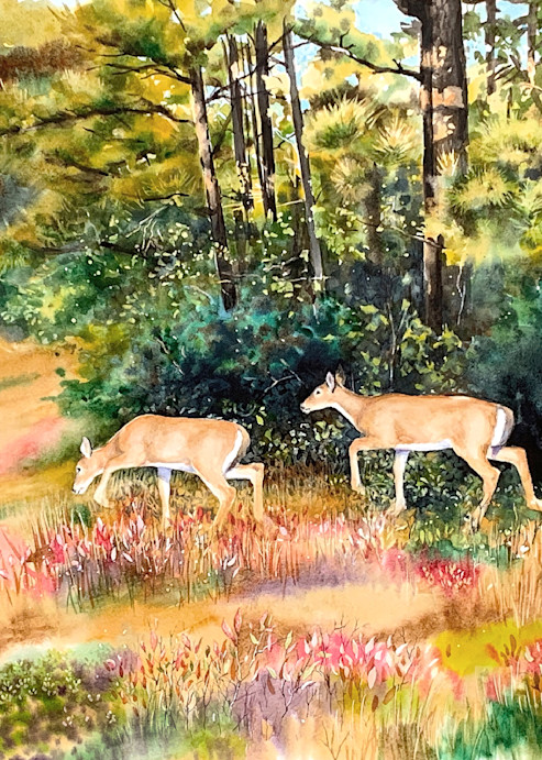 Emerging (White Tailed Deer)