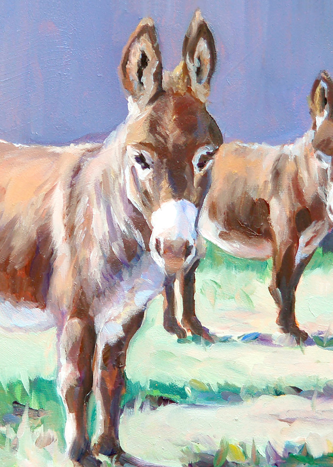 Donkey Duo  Art | B.Harmon Art, Illustration & Prints