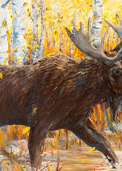 Bull Moose In The Aspens Art | Mordensky Fine Art